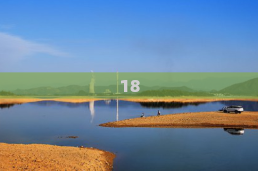 18