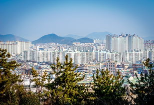 龙凤花园，城市绿洲中的现代生活典范