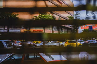 绿城桂花园，城市绿洲中的租房新选择