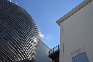 同居公寓，现代都市生活的新趋势
