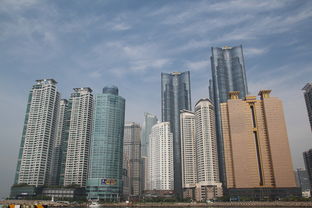 南湖路租房指南，揭秘高性价比的居住选择