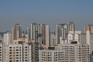 南湖路租房指南，揭秘高性价比的居住选择