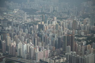 杨红旭，房产市场的洞察者，为您解读2023年楼市趋势