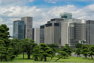 上海万源城，城市绿洲中的现代居住典范