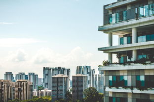 衡水房屋出租市场分析，机遇与挑战并存