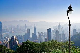兴平房产新趋势，探索房屋出租市场的潜力与机遇