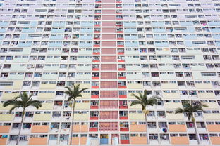 烟台房屋出租，探索海滨城市的生活魅力与租赁市场动态