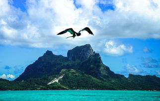 拥抱海洋的奢华，揭秘海景公寓的无限魅力与投资价值