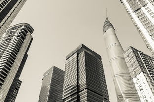 西安西郊，房价走势分析与投资指南