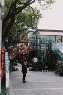 苏州鑫苑国际城市花园，现代居住理念与古典园林艺术的完美融合