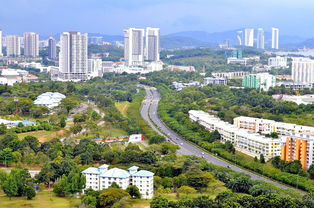 福泽御园，都市绿洲中的奢华居所，投资自住两相宜的房产新选择