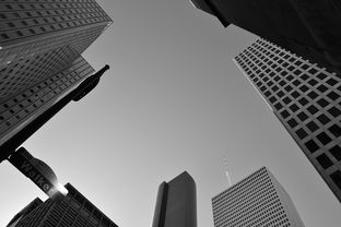 上海世贸商城，城市商业地标的崛起与未来展望