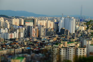 静安闸北合并，上海房产市场的新机遇