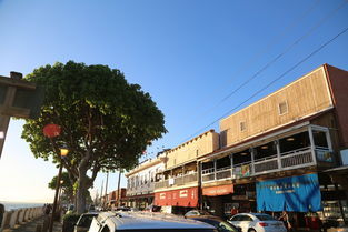 上犹租房指南，如何在这座宜居城市找到理想的家