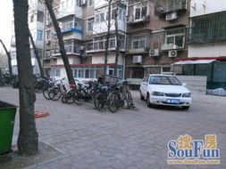 河东区租房新动态，精选房源推荐与市场趋势分析