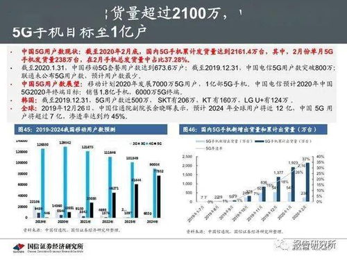 沌口二手房市场深度解析，投资与自住的双重机遇