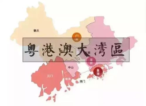 惠州南站，粤港澳大湾区的交通枢纽，房产投资的新热点