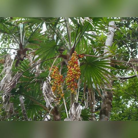 海南房产，投资与自住的双重机遇，探索热带天堂的居住魅力