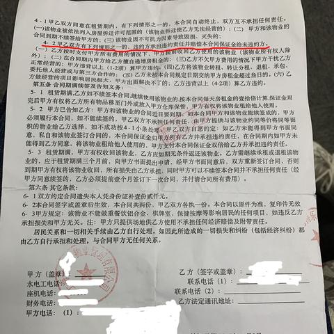 租房攻略，如何避免陷阱，找到心仪的家