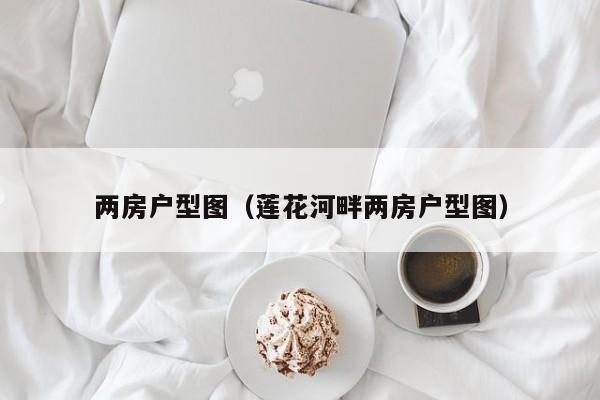 两房户型图（莲花河畔两房户型图）
