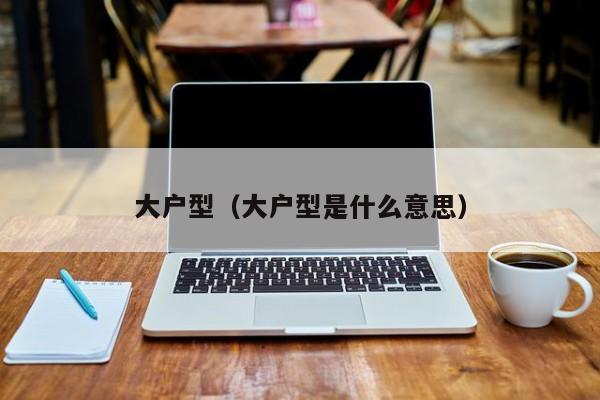 大户型（大户型是什么意思）